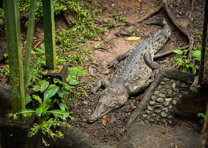 Si Como No Resort & Wildlife Refuge
