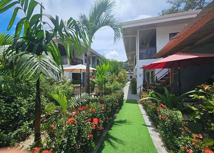 Ballena Rey Hotel